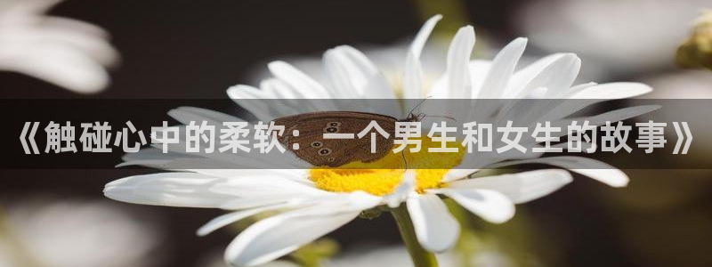 里番漫网：《触碰心中的柔软：一个男生和女生的故事》