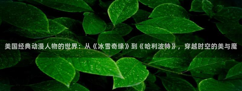 里番漫：美国经典动漫人物的世界：从《冰雪奇缘》到《哈利波特》，穿越时空的美与魔