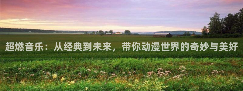 h里番动漫：超燃音乐：从经典到未来，带你动漫世界的奇妙与美好