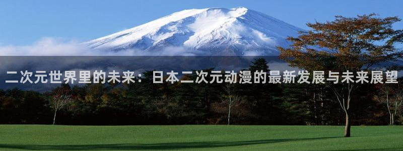 剧情好的里番动漫：二次元世界里的未来：日本二次元动漫的最新发展与未来展望