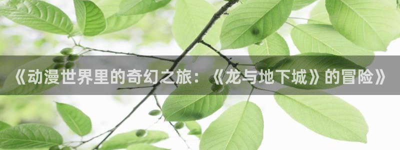 旧里番动画：《动漫世界里的奇幻之旅：《龙与地下城》的冒险》