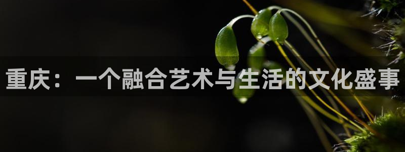 5月里番动漫：重庆：一个融合艺术与生活的文化盛事