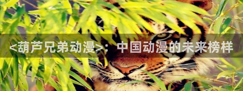 里番动漫火影忍者：<葫芦兄弟动漫>：中国动漫的未来榜样