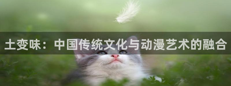 里番动漫网站：土变味：中国传统文化与动漫艺术的融合