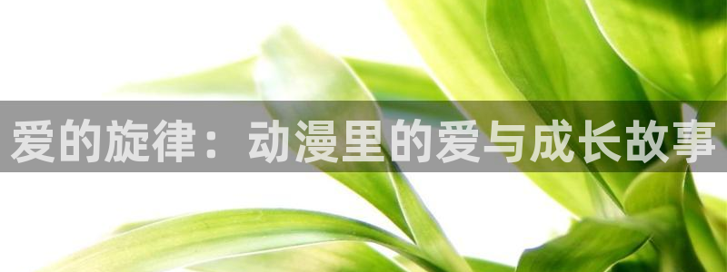 里番有哪些好看的动漫：爱的旋律：动漫里的爱与成长故事