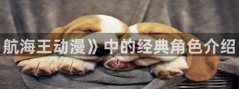 ntr里番动漫：航海王动漫》中的经典角色介绍