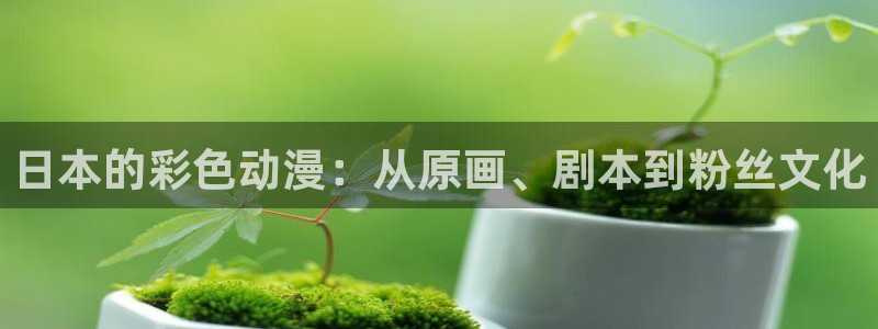 有什么好看的动漫里番：日本的彩色动漫：从原画、剧本到粉丝文化