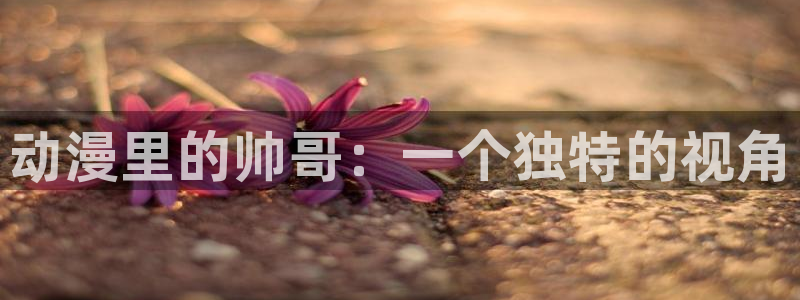 本子里番漫画：动漫里的帅哥：一个独特的视角