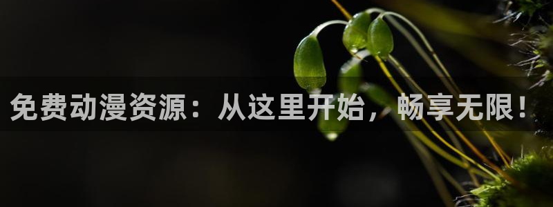 动漫里番肉番：免费动漫资源：从这里开始，畅享无限！
