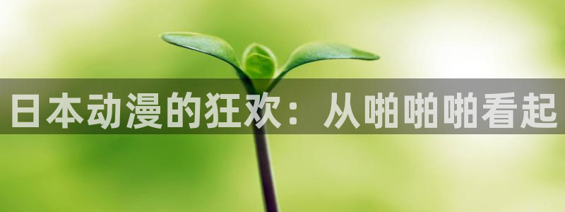 acg里番动漫网：日本动漫的狂欢：从啪啪啪看起