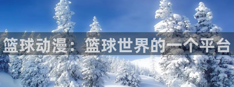日本里番动漫有哪些：篮球动漫：篮球世界的一个平台