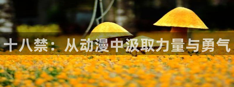 里番动漫排行榜前十名