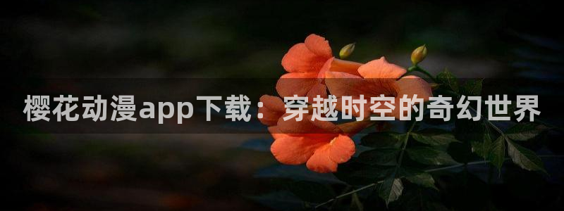 里番剧动漫