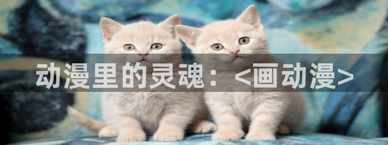 风车动漫里番动漫