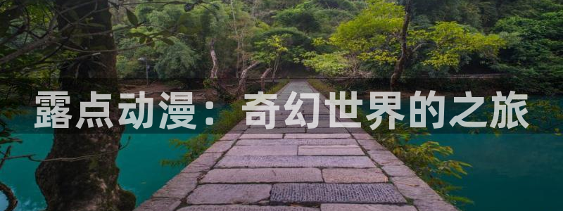 里番动漫在线免费观看