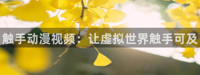 百合动漫里番