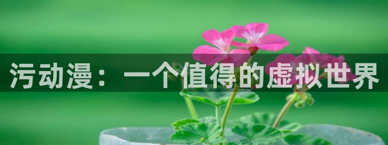 里番动漫在哪里看