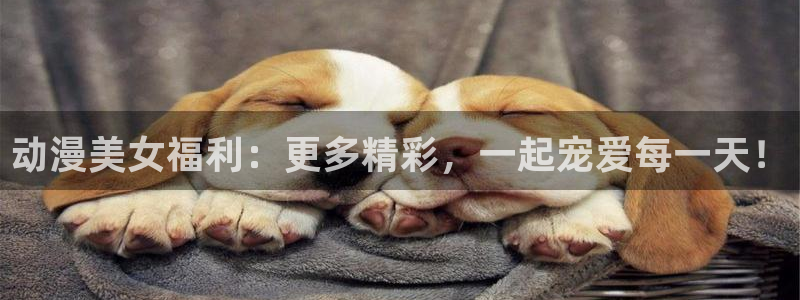 动漫h里番